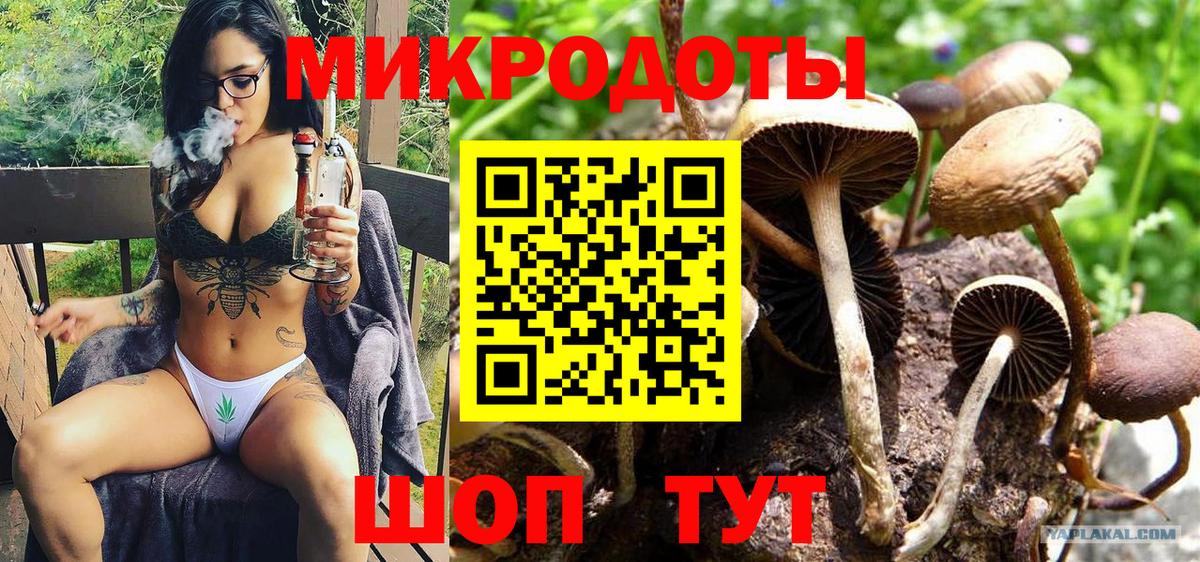 Галлюциногенные грибы GOLDEN TEACHER  Вход с VPN  Ливны 